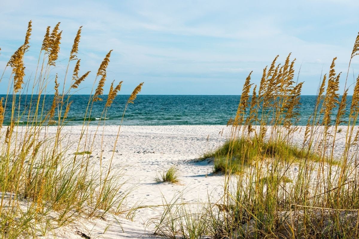 A typical view in one of the best gulf coast vacation spots.