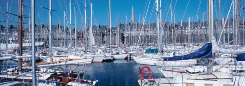 A bunch of yacht docked on the sea