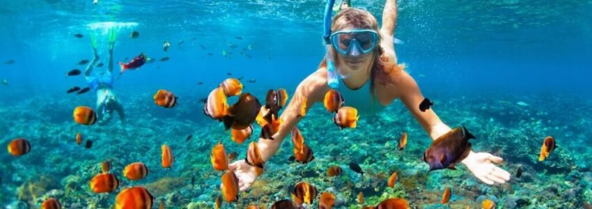 A woman is snorkeling at a beautiful reef.