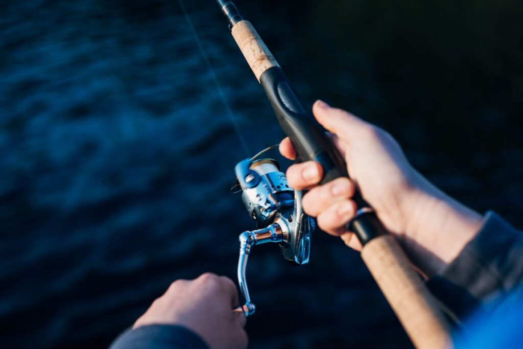 buy fishing pole