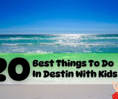 In Destin, there are numerous family-friendly spots that both you and your children will adore.