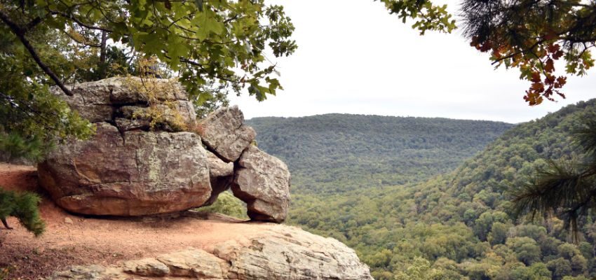 This hazardous rock deep in the Ozarks is one of the most photographed places in Arkansas. The rock, also known as Hawksbill Crag due to its shape, allows visitors to live on the edge—literally.