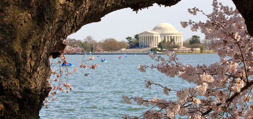 Couples looking for the best anniversary trips can paddle out along the Tidal Basin in a paddleboat. They'll get some of the best views of the Jefferson Memorial. Swan paddle boats are even available for rent for those interested.