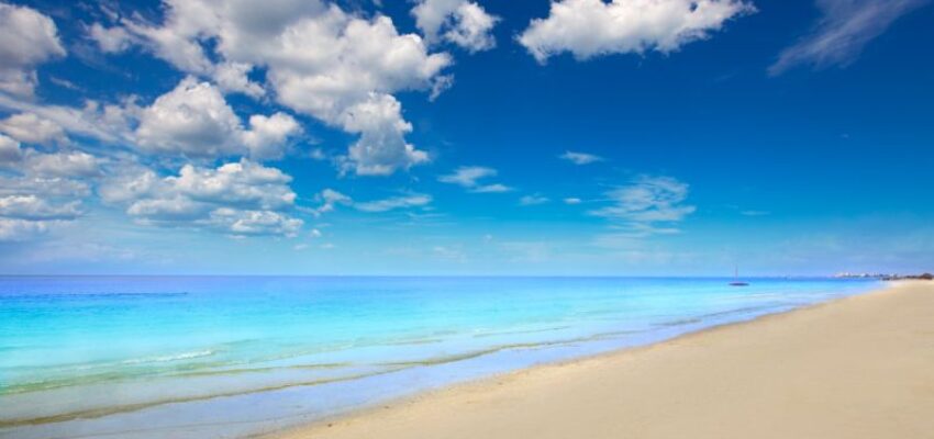 The magnificent Barefoot Beach Preserve, one of Naples’ top beaches, is on an unspoiled barrier island.