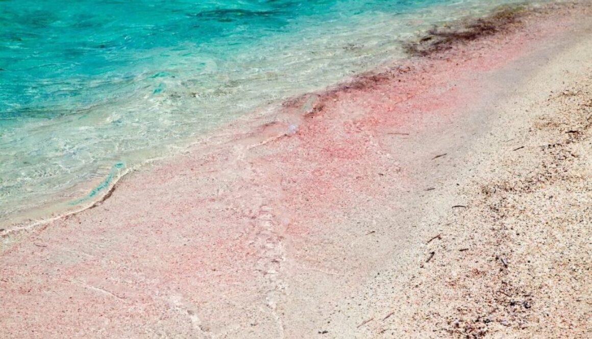 An example of a pink sand beach in the Bahamas.
