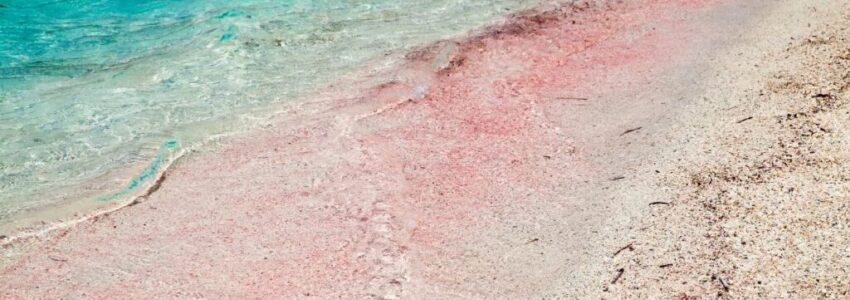 An example of a pink sand beach in the Bahamas.