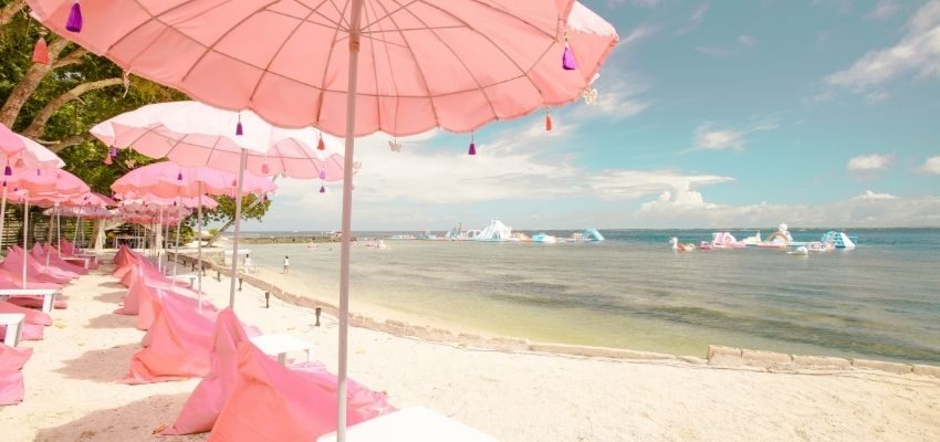 A pink sand beach in The Bahamas.