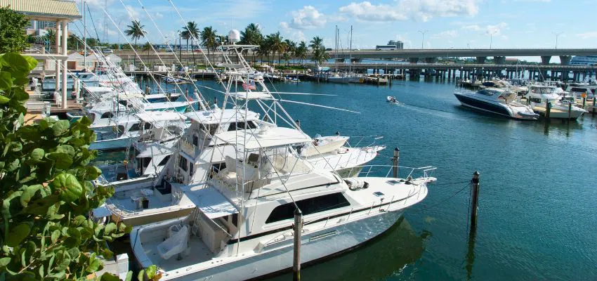 liveaboard-marinas-in-florida3 numerous yachts docked in one of the popular liveaboard marinas in florida