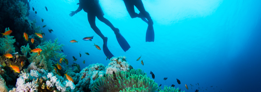 Two scuba divers in Florida reef.