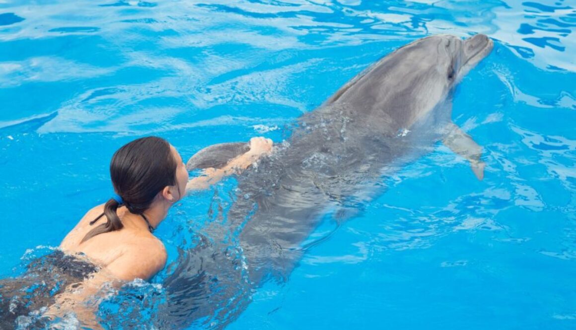A woman swimming with a dolphin.