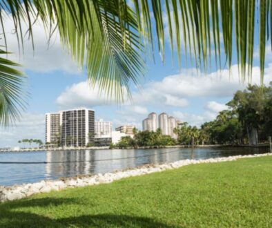 The beauty of nature at Cape Coral, Florida.