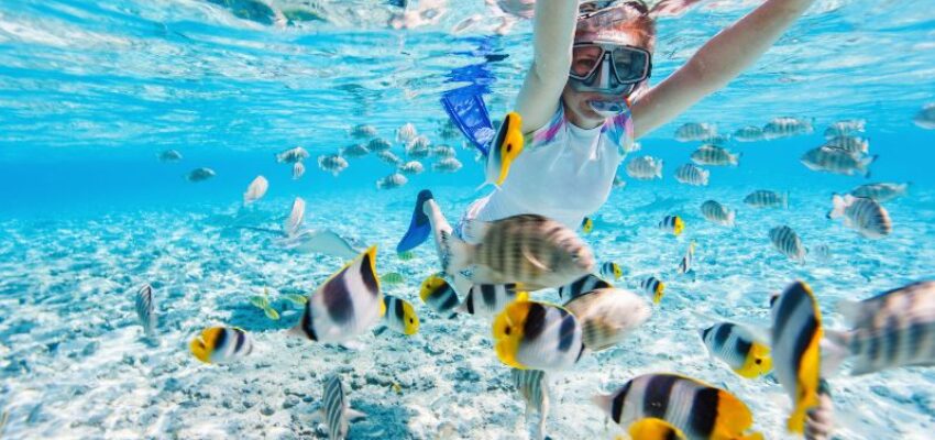 A girl is experiencing Islamorada snorkeling.