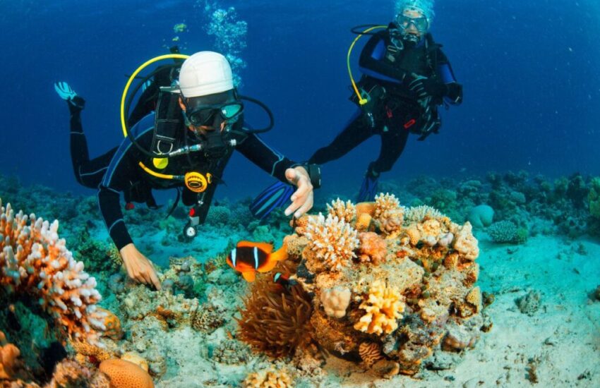 Two persons are experiencing Islamorada snorkeling.