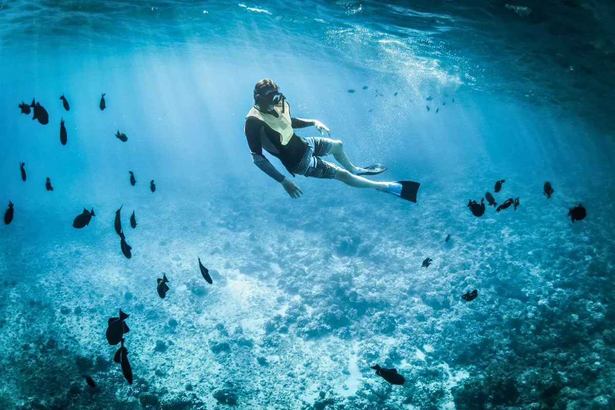 Someone was snorkeling in the crystal clear waters of Nassau.