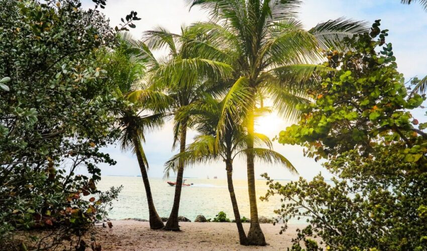 A view from one of Florida's clearest water beaches.