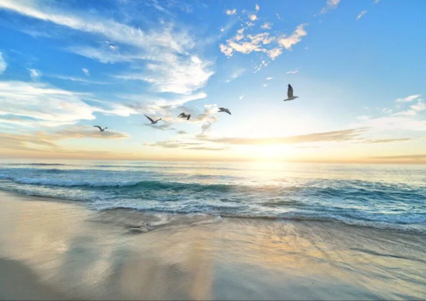 The image of a peaceful sea.