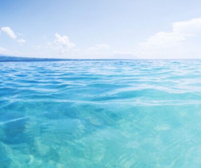 A beautiful view of the sea that has clear water.