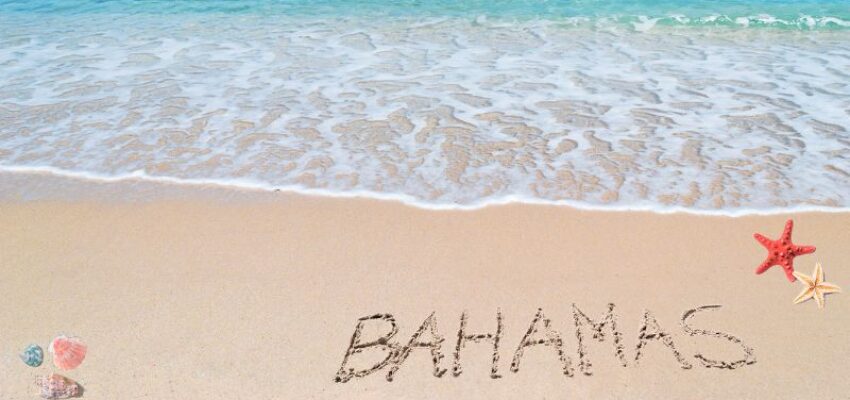 The Pink Sand Beach Bahamas.