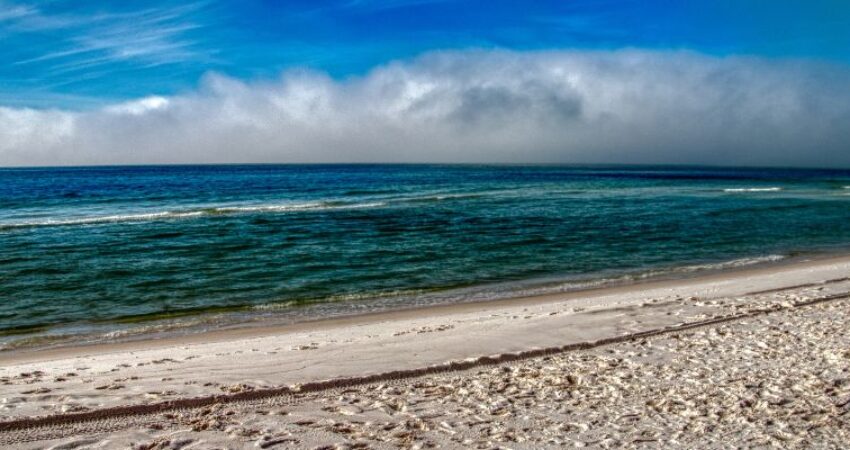Grayton Beach State Park is a majestic coastal treasure nestled along the Gulf of Mexico.
