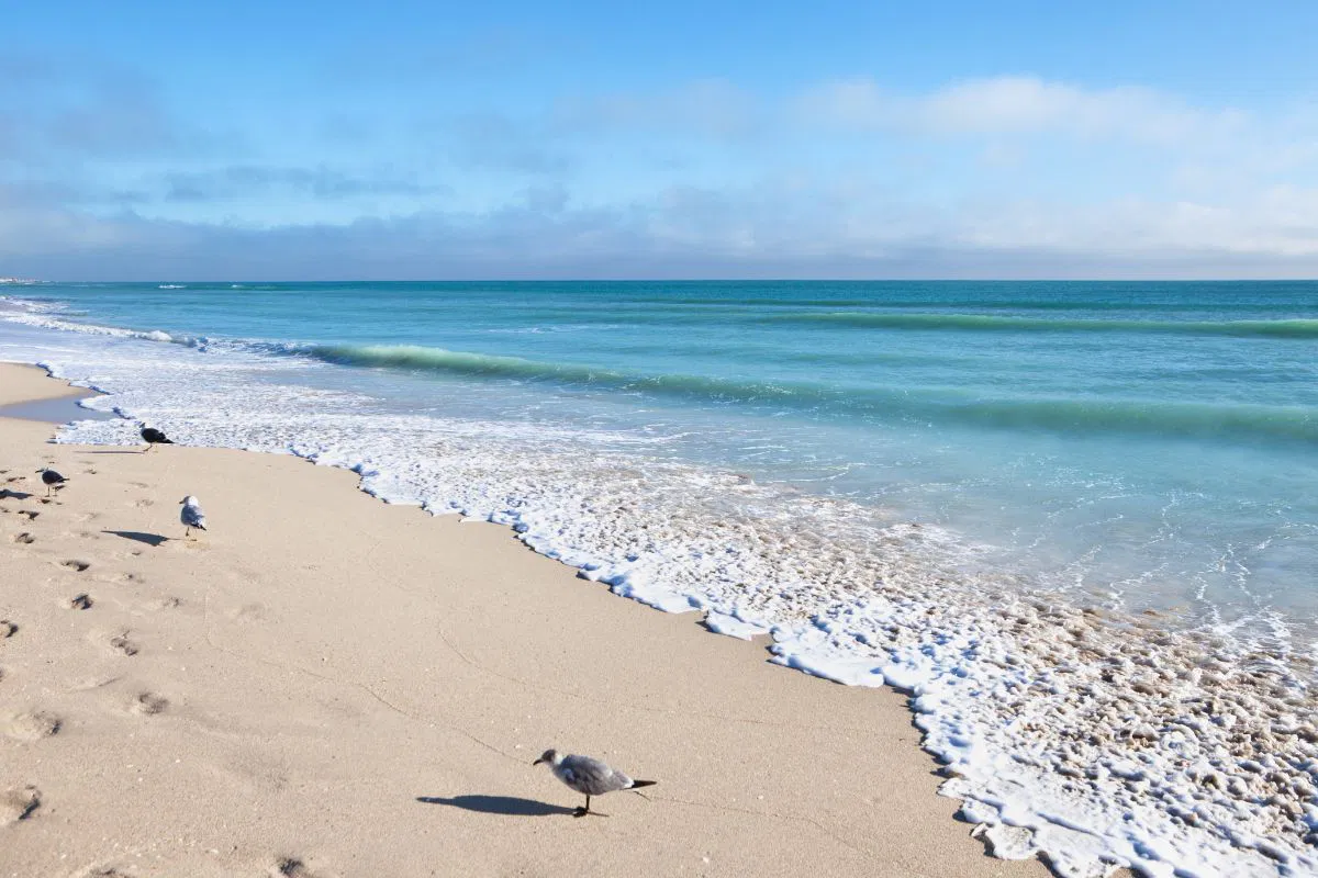A scene from one of Florida's quiet beaches.