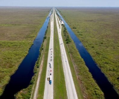 Alligator Alley is a highway that goes through Florida's mysterious landscapes.