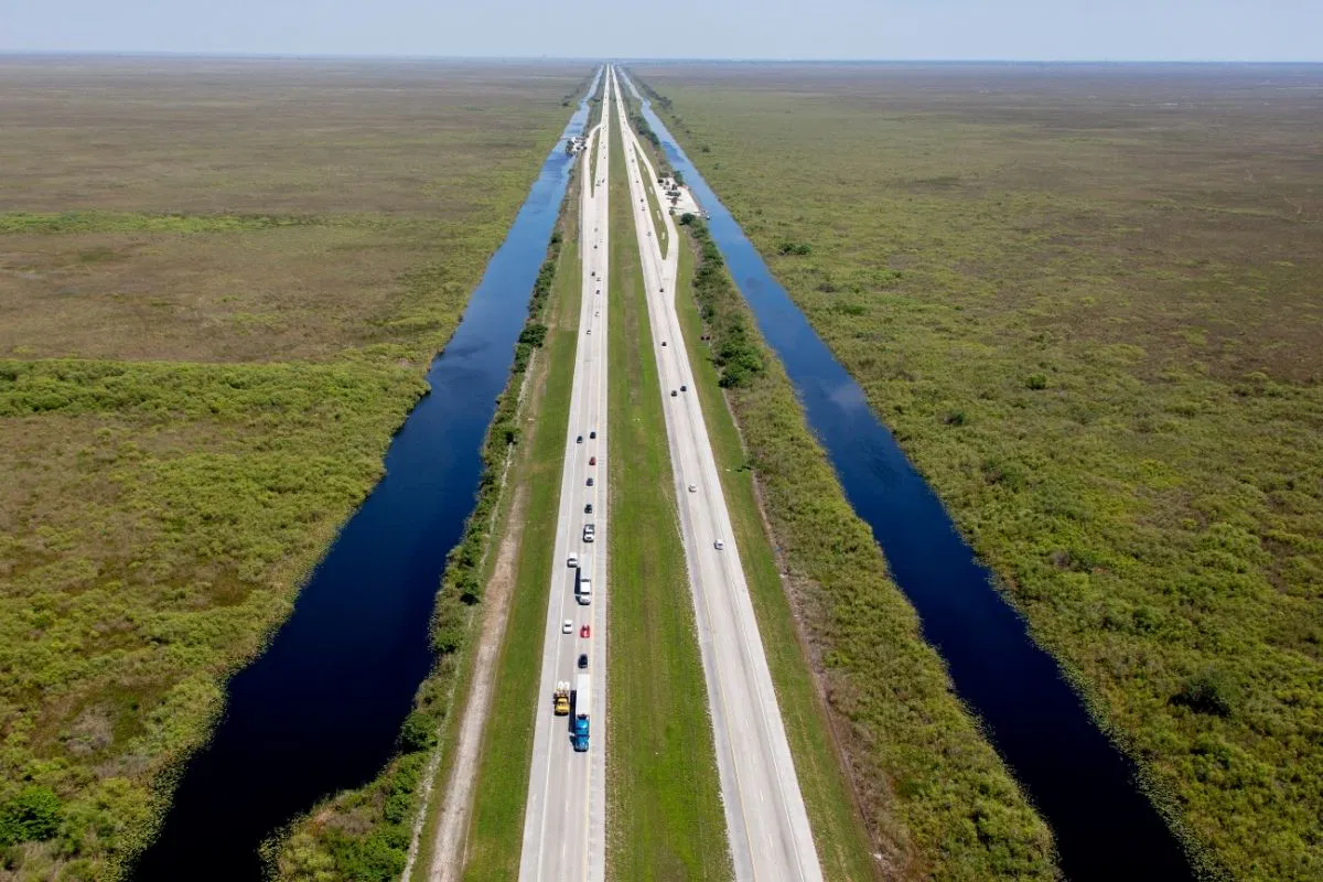Alligator Alley is a highway that goes through Florida's mysterious landscapes.