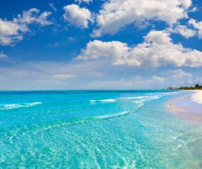 Picture of a beautiful beach, where clear water meets soft sand, creating a perfect paradise.