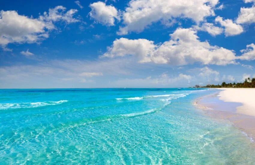 Picture of a beautiful beach, where clear water meets soft sand, creating a perfect paradise.