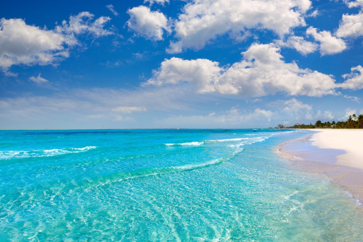 Picture of a beautiful beach, where clear water meets soft sand, creating a perfect paradise.