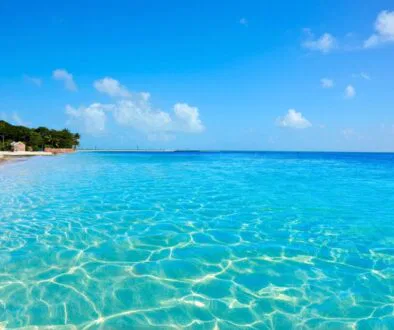 A beach in Florida has clear water.