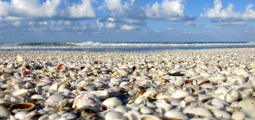 If you want a relaxing vacation, choose Sanibel for sun and surf. It's the perfect destination for families seeking peace and tranquility.