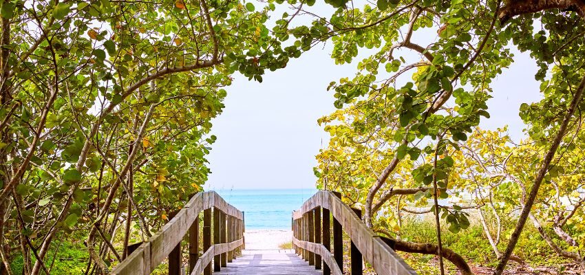 This beach showcases the pristine beauty of Florida's coastline, making it one of the best beaches in South Florida.