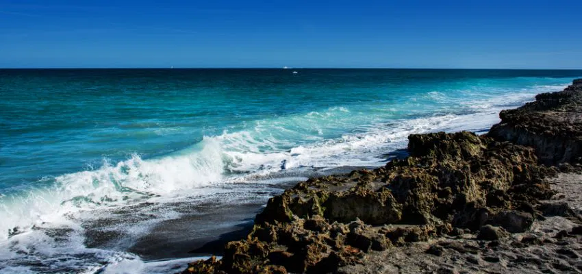 south-florida-beaches3 Go on a unique tour of the Blowing Rocks Preserve