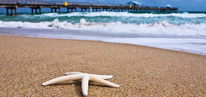 south-florida-beaches4 Don't miss out on the chance to enjoy the beauty of the South Florida beaches
