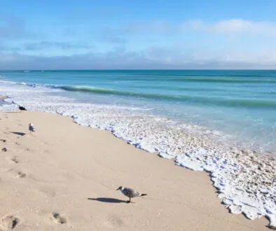 A view from one of the South Florida Beaches