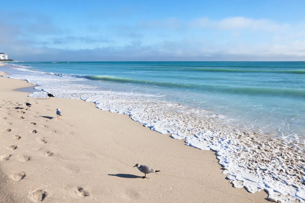 A view from one of the South Florida Beaches