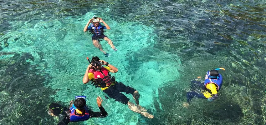 The group of friends are snorkeling in the Caribbean.