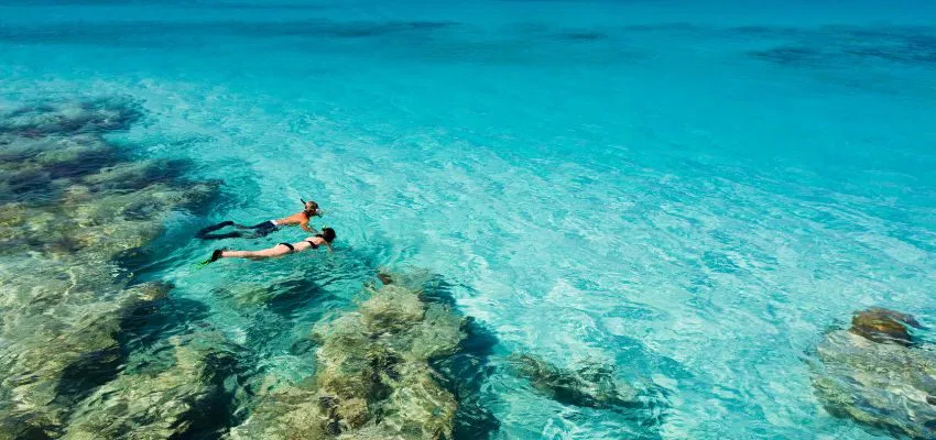 The couple is snorkeling in the Caribbean.