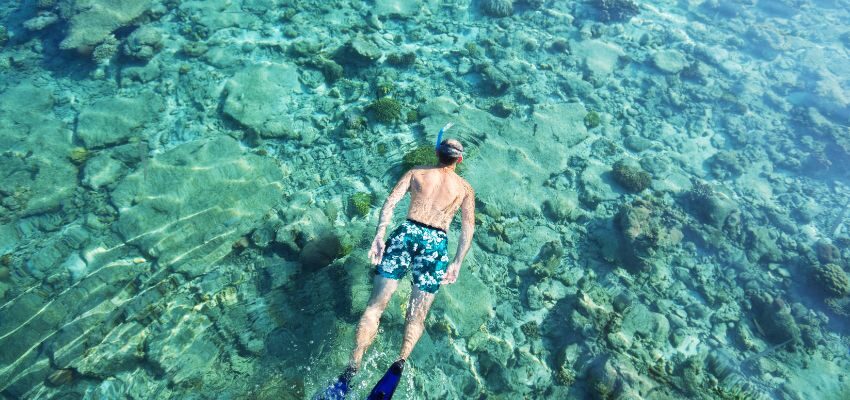 Bahia Honda State Park on Big Pine Key is an idyllic snorkeling spot, particularly suited for beginners. Here, amidst tranquil currents, new snorkelers can embark on their aquatic adventure.