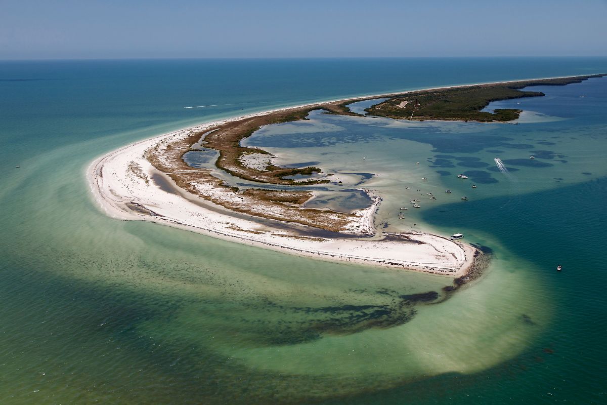 Embark on a getaway to the secluded paradise of Anclote Key Preserve State Park, named the Best Hidden Gem Beach by USA Today. Experience the serenity and unspoiled beauty of this hidden oasis, spanning 400 acres off Tarpon Springs.