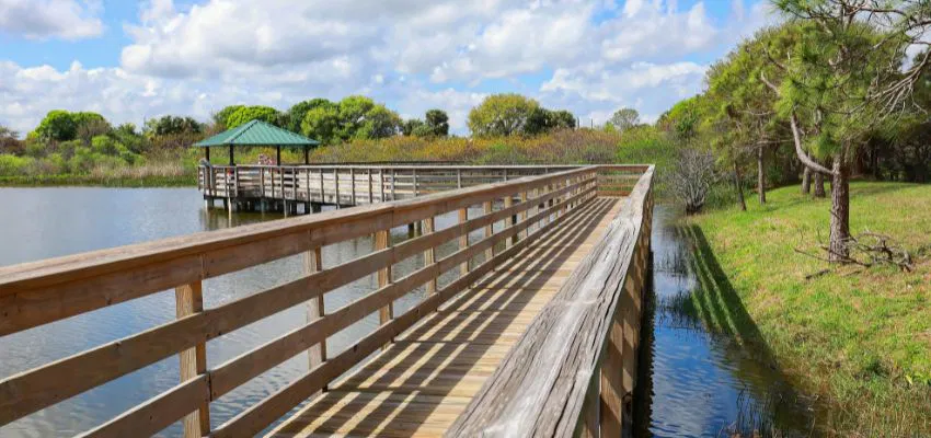 Situated in the heart of South Florida, the Wakodahatchee Wetlands beckons wildlife enthusiasts to a tranquil haven.
