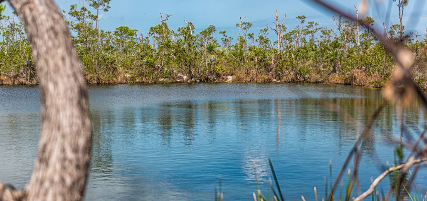 Big Pine Key is more than a mere destination. It embodies an experience that connects you with nature in a memorable way.