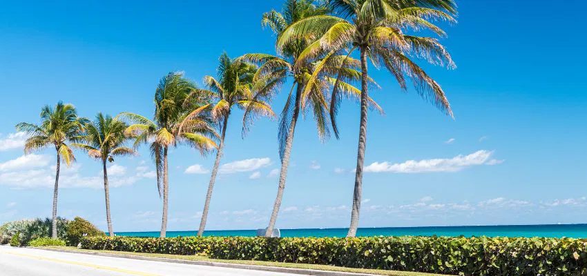 Palm Beach is a premier winter beach destination on the Atlantic coast. It offers various adventures, whether you're leisurely exploring Worth Avenue or honing your golf skills at its top-notch courses.